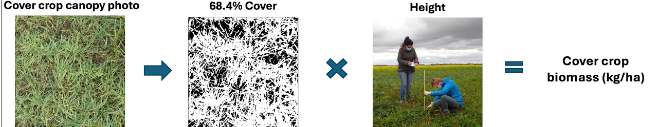 Glcc calculation.png